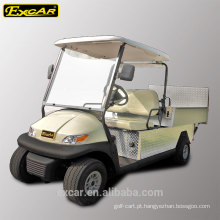 Tipo elétrico do combustível e carrinho de golfe elétrico barato de 2 assentos de China para a venda